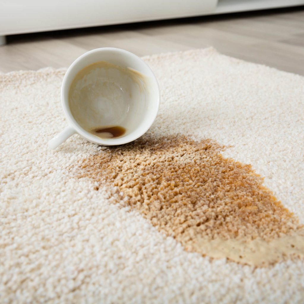 Time for a Professional Rug Cleaning | Bay Country Floors